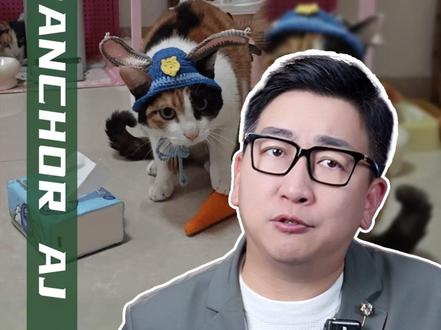 “萝卜纸巾猫”闯入硬核赛道!“真棒”小猫,为啥让人如此上头? @超级无敌大开门 #一只大笨猫引发的全网大考 #萝卜纸巾猫 #真棒小猫