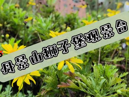 丹景山狮子堡观景台出行攻略来啦~
#城市公园#知秋向山行 #成都周边游 #亲子游 #风景都在路上