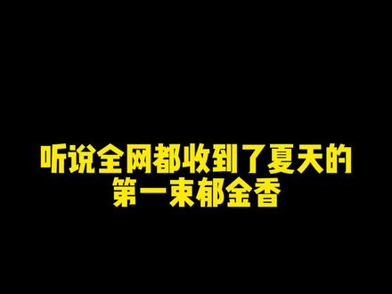 郁金香真的是不迎世俗的浪漫”超级简单的折纸郁金香花束!!快叫怨种闺蜜送你!!#郁金香 #手工 #花束#仙女必备
