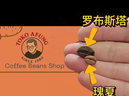 咖啡豆测评【4】100%罗布斯塔 纯罗豆原来是这味 这绝对是我喝过最“特殊”的咖啡豆
#手冲咖啡 #罗布斯塔 #罗豆 #咖啡豆测评 #咖啡豆