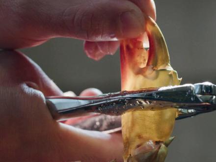 蟹壳里都是水 #水蟹 #水蟹粥 #美食