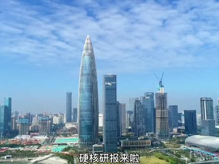 有望成为下一个安记!#股票#龙头