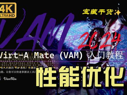 VAM入门4系统优化_完整