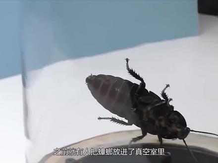 人暴露在真空有多可怕?将血液放入真空后,场面彻底失控了!