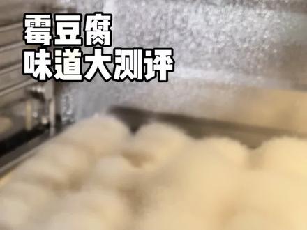 霉豆腐很好玩但是好臭…
#霉豆腐 #霉豆腐制作 #霉豆腐测评 #一般推荐