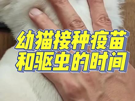 猫咪第一针疫苗应该什么时候打#妙三多 #猫疫苗 #宠物医院 #打疫苗 @DOU+小助手