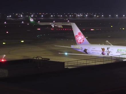 一起边听疯狂动物城2主题曲边看华航疯狂动物城2彩绘机推出#航空 #飞机 #民航 #疯狂动物城2 #华航