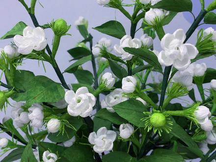 皱纹纸手工茉莉花教程第二集