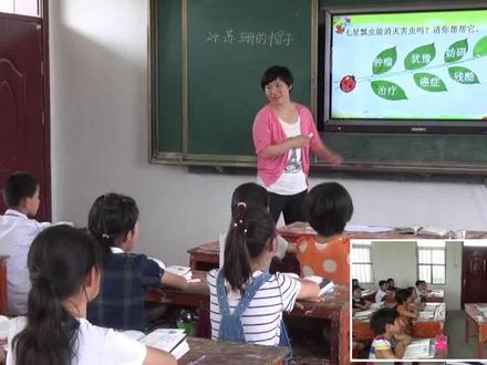 景小新老师精彩教学《苏珊的帽子》。