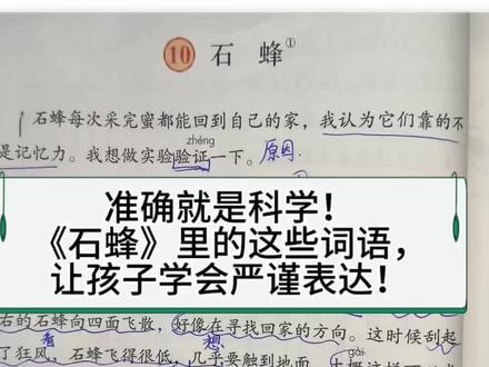 三下第十课《石蜂》 “大概”“好像”“几乎”——这些词看似模糊,却藏着科学家的严谨!《石蜂》里的语言密码,孩子一学就会! #石蜂 #三年级语文下册 #第三单元复习 #语文要素 #法布尔