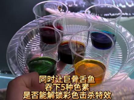 同时让巨骨舌鱼一口吞下5种色素是否能解锁彩色击杀特效#巨骨舌鱼 #养鱼日记 #新版闲鱼 #神奇的闲鱼 #上闲鱼赚一笔