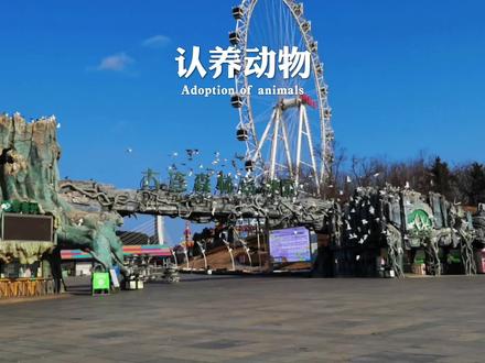 大连森林动物园的动物可以认养了,如果可以,你想认养什么动物呢?#动物园 #动物 #旅游 #亲子 #大连