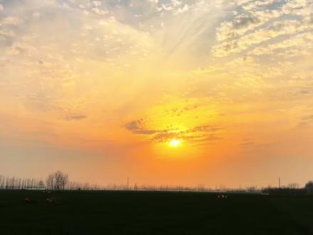 彪哥的遗憾
是留不住的玉芬
我们的遗憾
是回不去的青春
生活百般滋味
人生笑着面对
逆境不言心中苦
顺境不忘来时路
#乡愁记忆 #家乡风景 #人生感悟 #彪哥玉芬