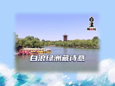 白浪绿洲藏诗意。 #潍坊