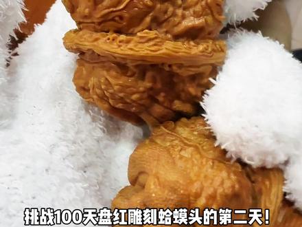 挑战100天盘红雕刻蛤蟆头文玩核桃第二天!雕刻龙蟾好看吗? #蛤蟆头#蛤蟆头核桃#蛤蟆头雕刻金蟾#三角蛙#核桃雕刻