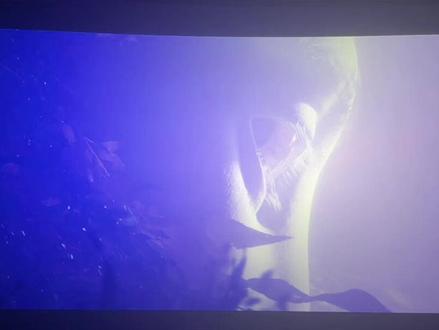 爱娃原来这样子#阿凡达3