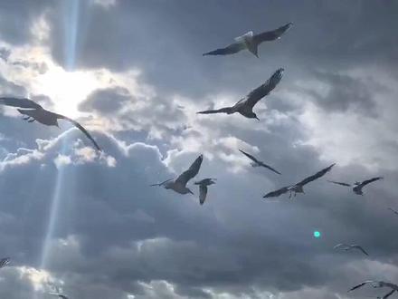 官渡古镇绘画汇总