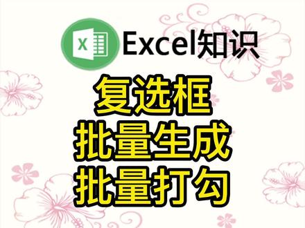 在Excel中批量批量生成复选框,且高效管理复选框 #Excel #罗刚君 #E灵