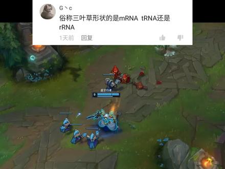 三叶草tRNA给你转运