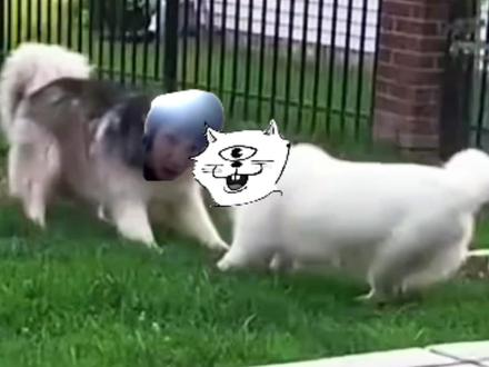 真是令人愉悦啊藤本树,我大概这辈子都不会忘记你了 #藤本树 #电锯人 #芥见下下 #咒术回战 #动漫