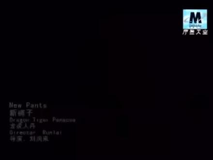 #新裤子乐队 讲述歌曲龙虎人丹的创作背景 #新裤子彭磊