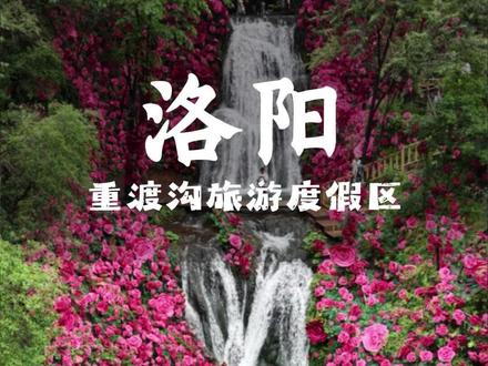 挑战走遍国内网络热门景区,看看它们是夯爆了还是拉完了,这一站重渡沟旅游度假区#重渡沟是懂浪漫的 #一步一出片夯爆了重渡沟 #老君山下的森系度假秘境