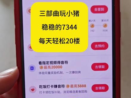 不会玩小猪的新手小白,这个视频反复去看!