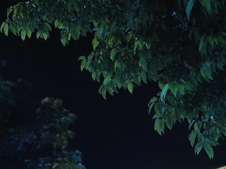 音符拆解重组,细节里藏满@于适 对舞台的赤诚。#于适 #于适适诗演唱会