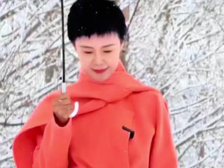 红袍策马成追忆,一花一名念斯人 #新疆 #贺娇龙 #娇龙月季