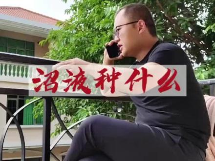 很多猪场牛场做了沼气池,厌氧发酵之后的沼液该如何处理?种养结合 #沼液 #沼气 #沼气池#沼液池 #猪场 #牛场 #粪污处理 #种养结合