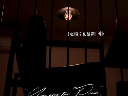 赵锦辛你急了#广播剧 #有声剧 #声优都是怪物 #小说