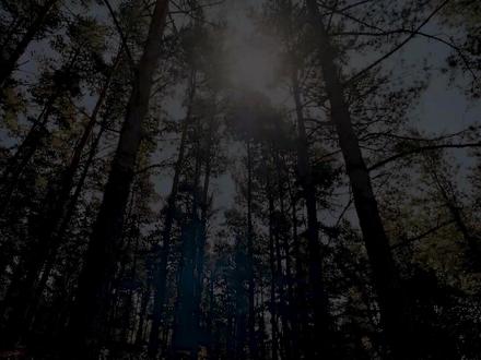 突发!《复联5》雷神预告高清版泄露!全新战甲、催泪台词全解析 就在圣诞节期间,漫威粉丝迎来意外“大礼”——《复联5》全新雷神个人预告高清片源竟意外泄露!不仅如此,《蜘蛛侠4:崭新之日》的高清预告也在网络流出,但最值得深挖的,无疑是雷神索尔那支充满悬念的预告。
预告核心秘密解析:
新预告中,雷神向奥丁祈祷,首度坦言“命运赐予了我从未奢望之物——一个孩子”,指的正是养女“爱”。他恳求获得力量“不是作为一名战士,而是守护者”,暗示这位征战千年的神明,终因父爱而转变。但预告始终未解释:他为何落泪?
更惊人的剧情线索:
此前美国队长预告聚焦其子,本次则强调雷神之女。多方信息指出,毁灭博士可能正在暗中搜集英雄后代——包括神奇先生之子富兰克林·理查兹、雷神之女“爱”。这些孩子所携带的宇宙级能量,或成为《复联5》关键暗线,甚至与“斗界”秘密战争直接相关。
预告轮换策略与未来展望:
漫威正按周轮换角色预告(美队→雷神→下周毁灭博士),持续为电影造势。而雷神与洛基能否在《复联5》重逢,也成粉丝最大期待——那句“阳光会再次照耀我们”的经典台词,或许将在新篇章中得到动人呼应。
高能预警:
若泄露趋势继续,官方可能提前发布正式预告。此外,漫威第七阶段重启计划、“符文王雷神”造型进化、甚至马面雷神有望登场等重磅爆料,也已浮出水面。
你认为毁灭博士收集英雄子女的真正目的是?雷神的眼泪背后又隐藏什么故事? 欢迎在评论区分享你的推理!如果发现新预告中还有隐藏彩蛋,也请告诉我们,一起解锁漫威新谜题!#复仇者联盟5 #雷神 #洛基 #了不起的精讲团 #毁灭博士