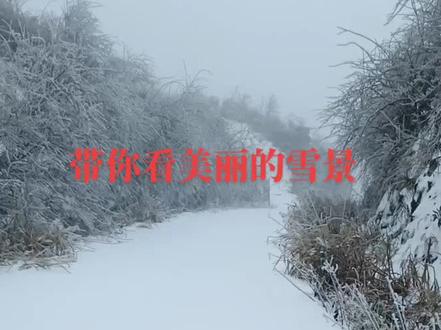 广西三江独峒镇大塘坳#雪景美如画