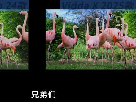 选电视认真看完这些维度,对你有帮助哦~#电视 #买电视避坑