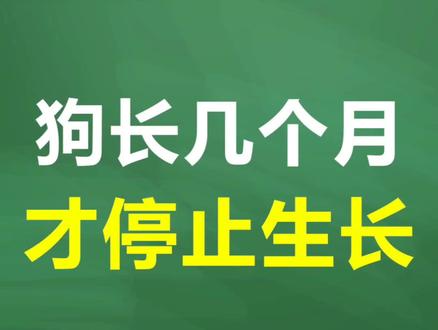 你家狗长到几个月之后就不长了呢?