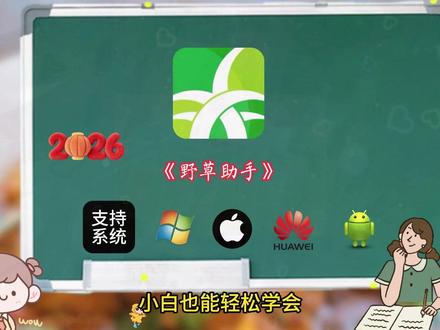 《白纸资源》#野草助手 #免费软件分享 #学习 #资源 #