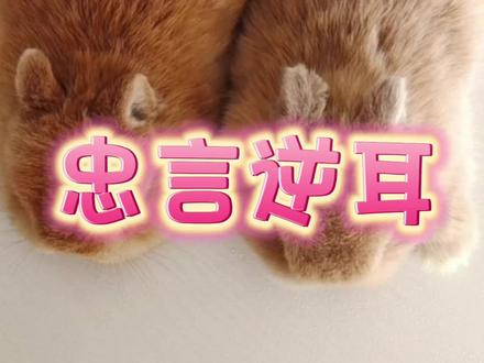 忠言逆耳利于行