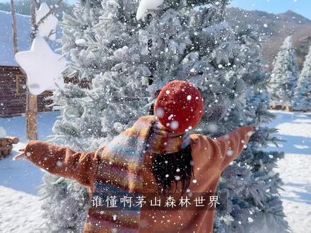 我在南京周边轻松get阿勒泰同款雪景!#茅山森林世界 #茅山森林滑雪场 #南京周边游 #滑雪场 #当游戏里的雪景照进现实