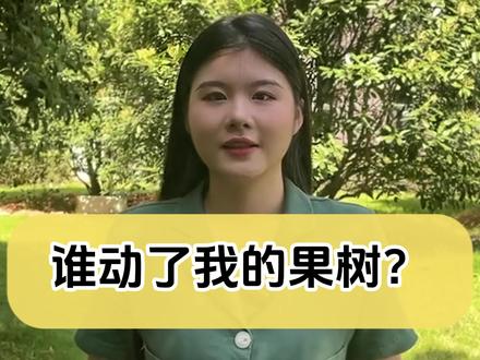 来了来了!!退林还耕新政策,要做到三不准!!#退林还耕 #三农 #新农人2023计划 #海南芒果