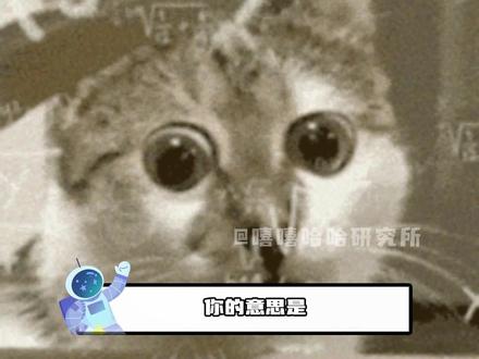 早说嘛 我去单挑鲨鱼了#鲨鱼 #椰子 #万万没想到 #科普