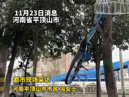 平顶山惊现“空中共享单车”,树上挂、路牌缠,有初中生说是他挂的。市民无奈:这都成“特色”了,感觉丢人。#河南平顶山共享单车长树上 #共享单车被初中生挂树上