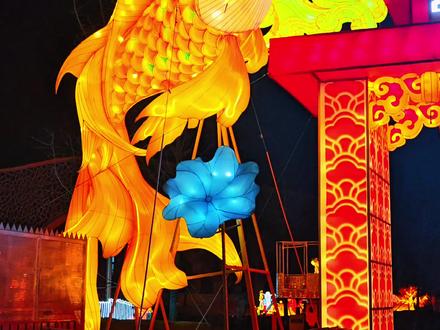 今天2025.12.31,超期待的跨年夜来啦!非遗千灯灯会开闹,绝美打铁花震撼登场,谁看了不心动?赶紧约起,一起到现场跨年嗨翻天#2026年新乡非遗千灯会 #全家人逛灯会 #自贡彩灯 #国家级非物质文化遗产名录@新乡文旅 @新乡日报 @河南省摄影家协会 @2026新乡非遗千灯会官方号