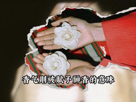 【oc植物塑】栀子花——爱与守候 #oc #二次元