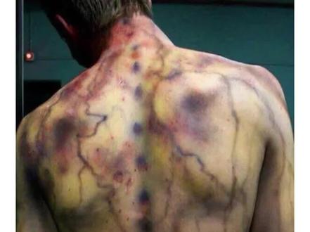 世界的多样性千奇百怪