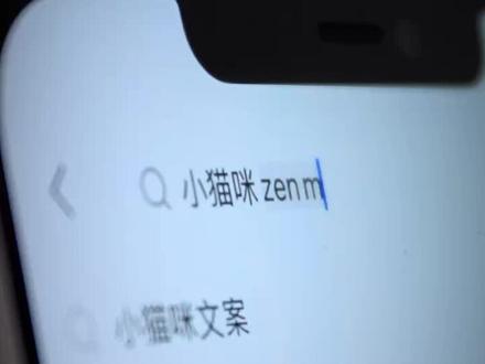 当1000份难过,压在一只腿长2.5cm的猫身上#猫咪 #喵星人