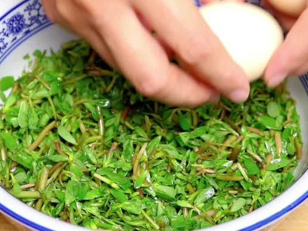 马齿苋加2个鸡蛋太好吃了,一次做一盆不够吃,上桌就光盘 #马齿苋 #马齿苋菜卷#美食教程 #面食@抖音小助手