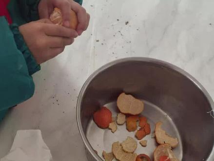 家里吃剩的橘子皮喂兔子,兔子喜欢吃极了,节省了养兔成本 #散养兔 #橘子皮喂兔 #宝妈养兔 #家有萌兔