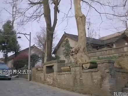 大结局意难平😭#谭松韵#王劲松 #电视剧我的山与海