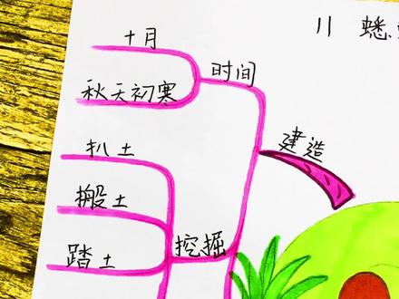 四年级#语文 上册第三单元《蟋蟀的住宅》#手绘思维导图