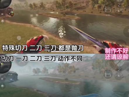 坠星者与暗星 动作对比#三角洲刀皮肤 #三角洲
